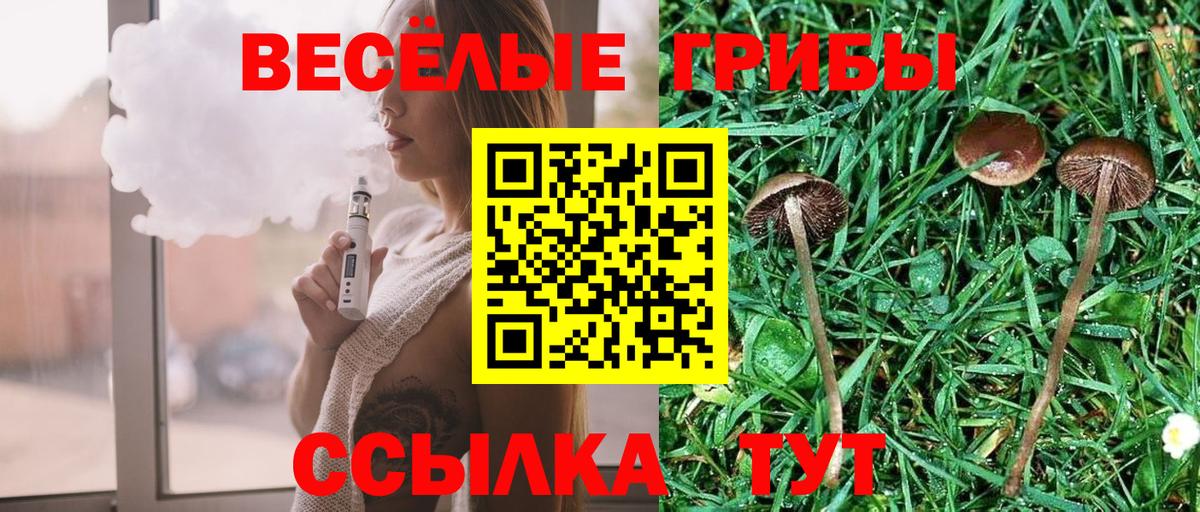 Новосибирск  Галлюциногенные грибы мицелий  Вход с VPN 