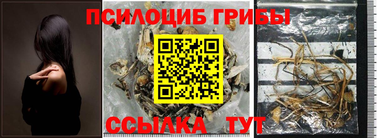 Галлюциногенные грибы Cubensis Новосибирск
